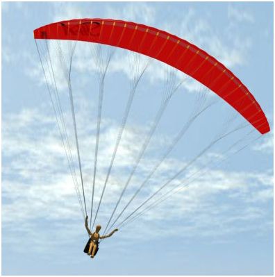 Paraglider