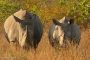 Vehicle rollover in Phoenix, KwaZulu Natal