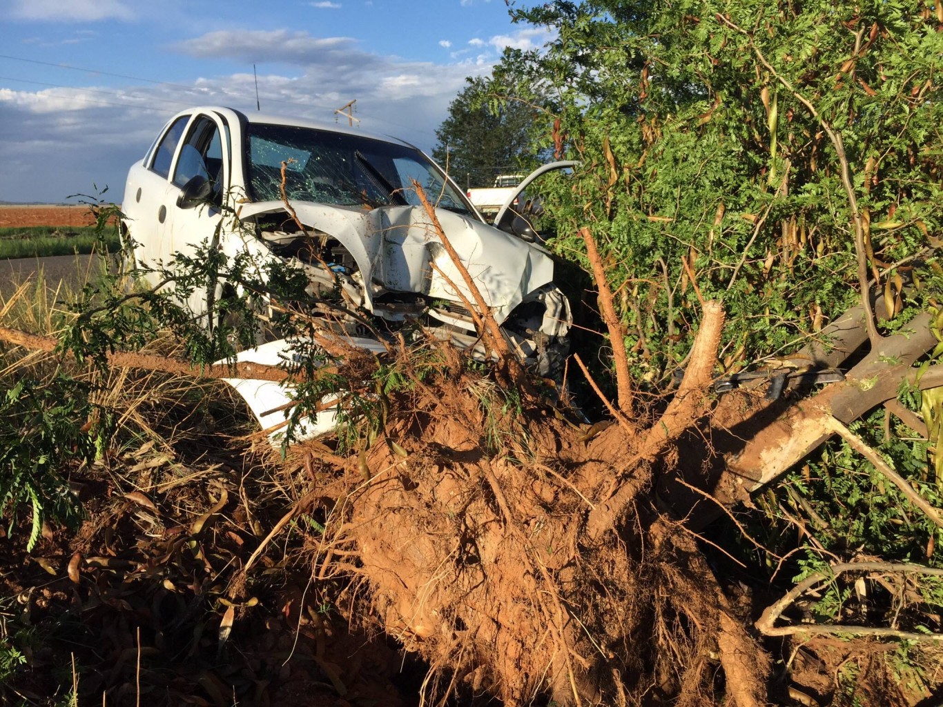 Scene from fatal crash into tree on Jagersfontein road