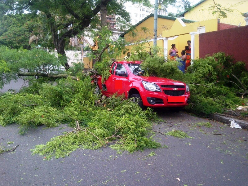 Tree falls on vehicle Durban