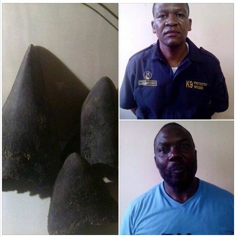 Two of the 4 suspects trying to sell rhino horn found to be police members