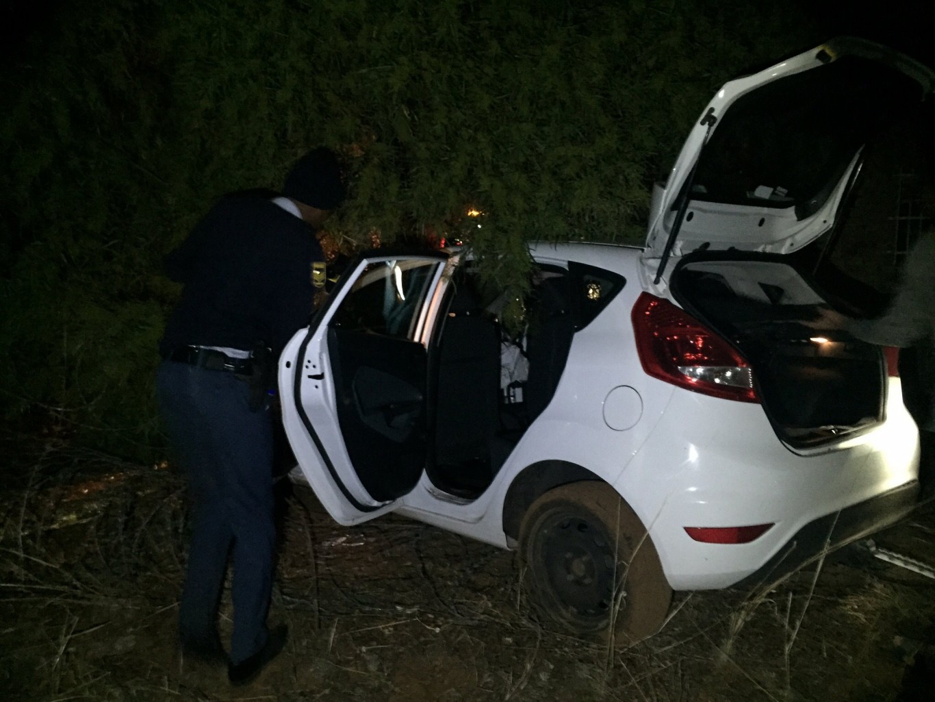 Car crashes into tree on Frans Kleynhans Road at Bloemfontein