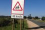 Krugersdorp head-on crash leaves one injured and one dead