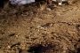 Potchefstroom side impact crash leaves four injured