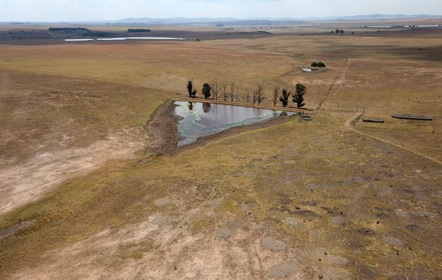 KZN declared a disaster zone as drought intensifies