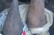 Student police constables make possession of rhino horn arrest in Madadeni