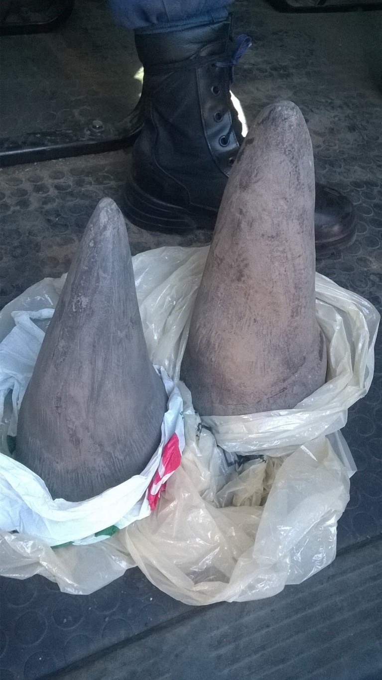 Student police constables make possession of rhino horn arrest in Madadeni