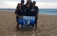 Inaugural Silence of the Sharks set to be South Africa’s biggest underwater protest