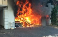 Dog saved from fire in the suburb of Sunningdale, north of Durban.