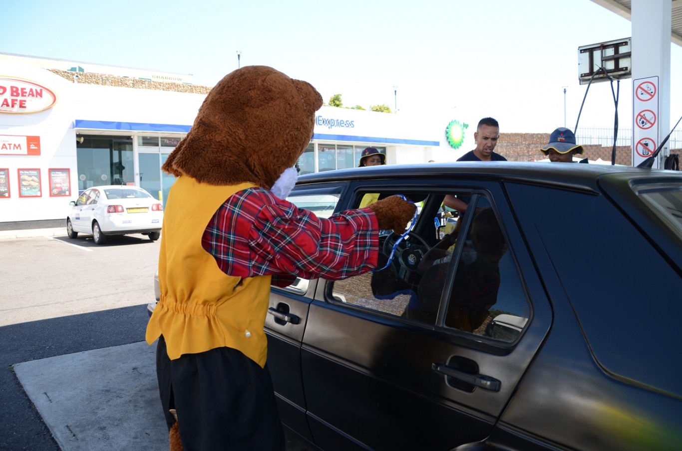 danny-cat-hands-out-flyers-to-vehicle-occupants