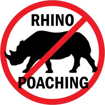 Case opened after killing of 5 rhinos in North West