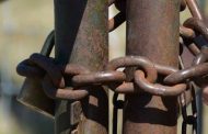 377 suspects arrested for stock theft in the Eastern Cape