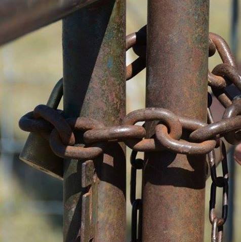 377 suspects arrested for stock theft in the Eastern Cape