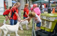 Meet the menagerie at the Rand Show’s Animal Farm