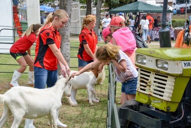 Meet the menagerie at the Rand Show’s Animal Farm
