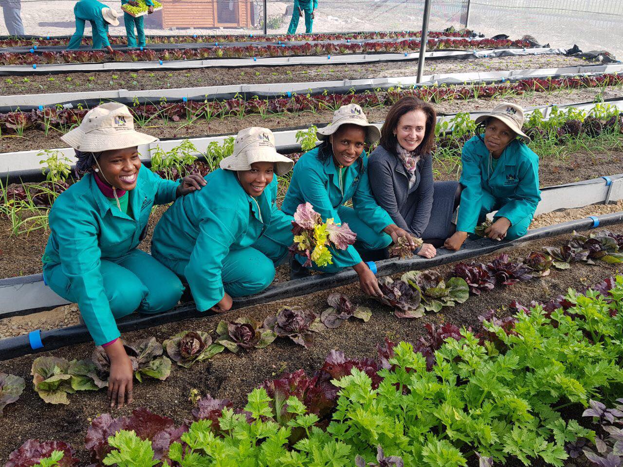 Food should not be wasted: new solutions for food waste re-use