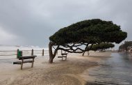 Businesses urged to assess risk management policies post Cape Storm