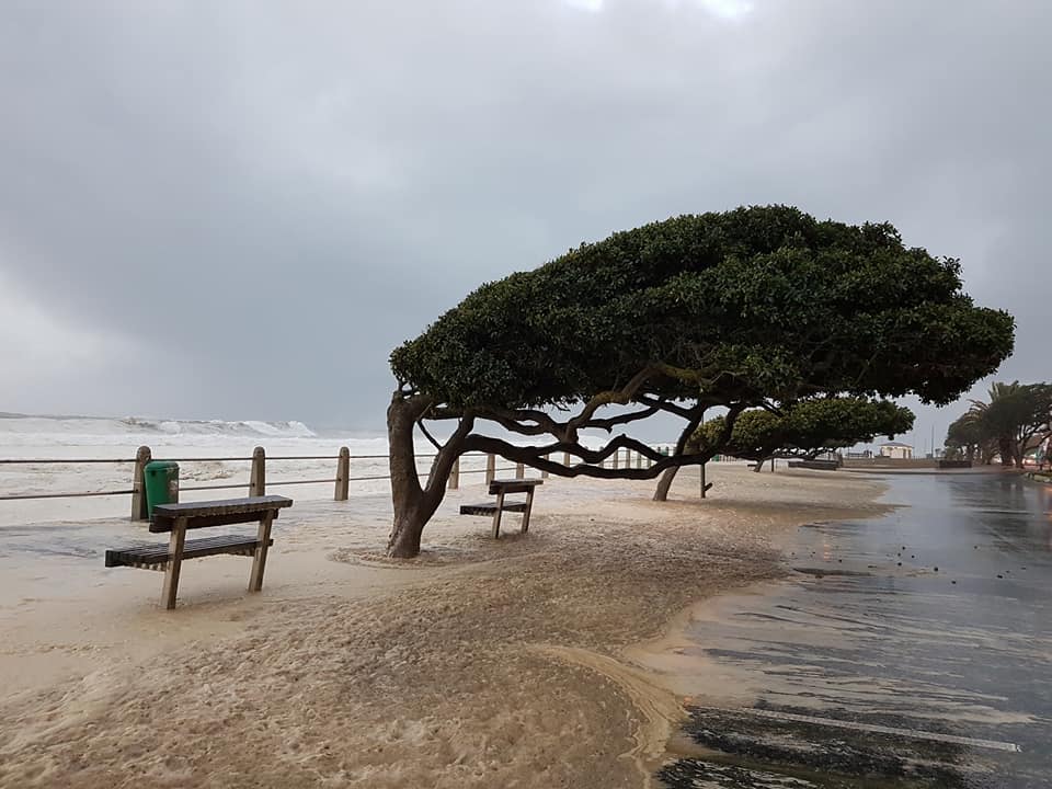 Businesses urged to assess risk management policies post Cape Storm