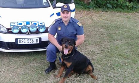 K9 Zeus stops robber in his tracks with his skills