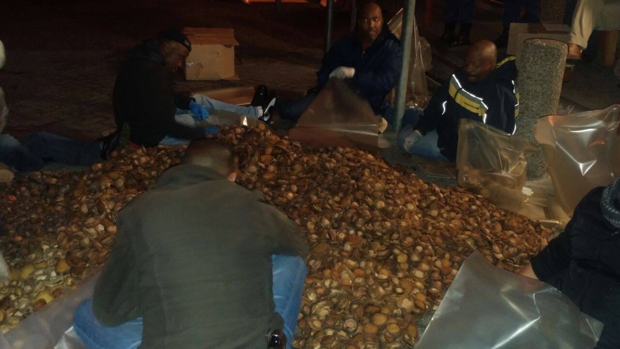 R6 million Abalone bust at Site B, Khayelitsha.