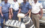 KwaZulu-Natal: Two men busted with dagga