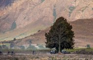 Entries open for 2018 Gravel & Grape MTB