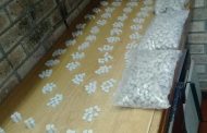A 29-year-old male arrested with 4000 Mandrax tablets in the Eastern Cape