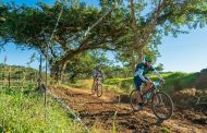 Five from five for leading Amabokkebokkies on joBerg2c day 6