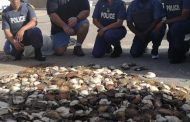 Almost R1 million worth of abalone confiscated from bakkie in Marine Drive in Summerstrand