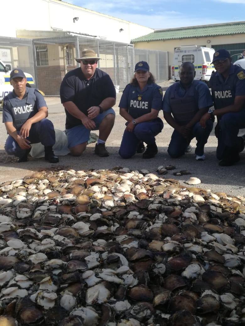 Almost R1 million worth of abalone confiscated from bakkie in Marine Drive in Summerstrand