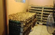 Abalone worth R3.5 million seized in Ottery.