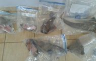 Rhino poaching accused expected to re-appear in court