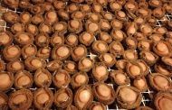 Police turns up the heat on abalone poachers in the Western Cape
