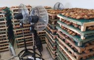 Two suspects arrested in Parow at an abalone drying plant with abalone to the value of R3.5million