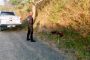 Suspects arrested for million rand drug deal in Crossmoor