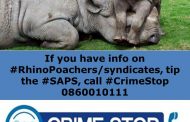 Hawks arrest another suspect in a rhino horns syndicate case