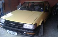 Theft of motor vehicle in Sibaya Casino