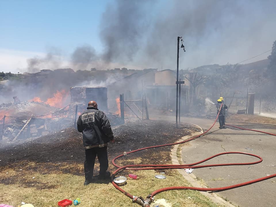 Dogs & Birds rescued during fire in Temple Valley