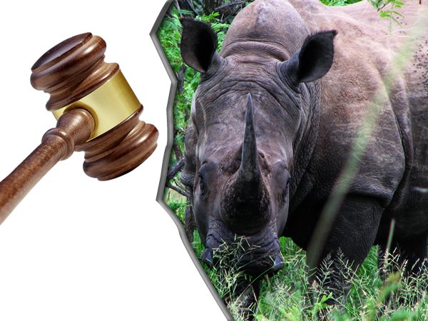 Department of Environmental Affairs welcomes lengthy sentence handed down to rhino poacher