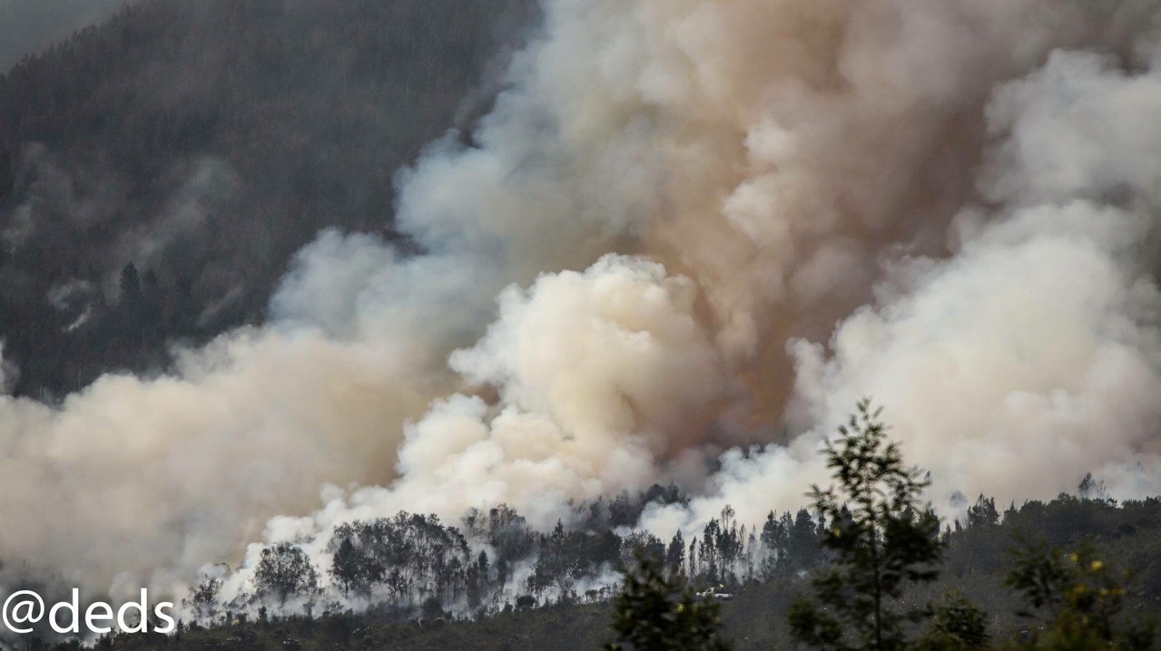 Fire services is doing a good job to control the veld fires in the Oudtshoorn region