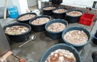 Abalone worth R2.4million seized in Milnerton