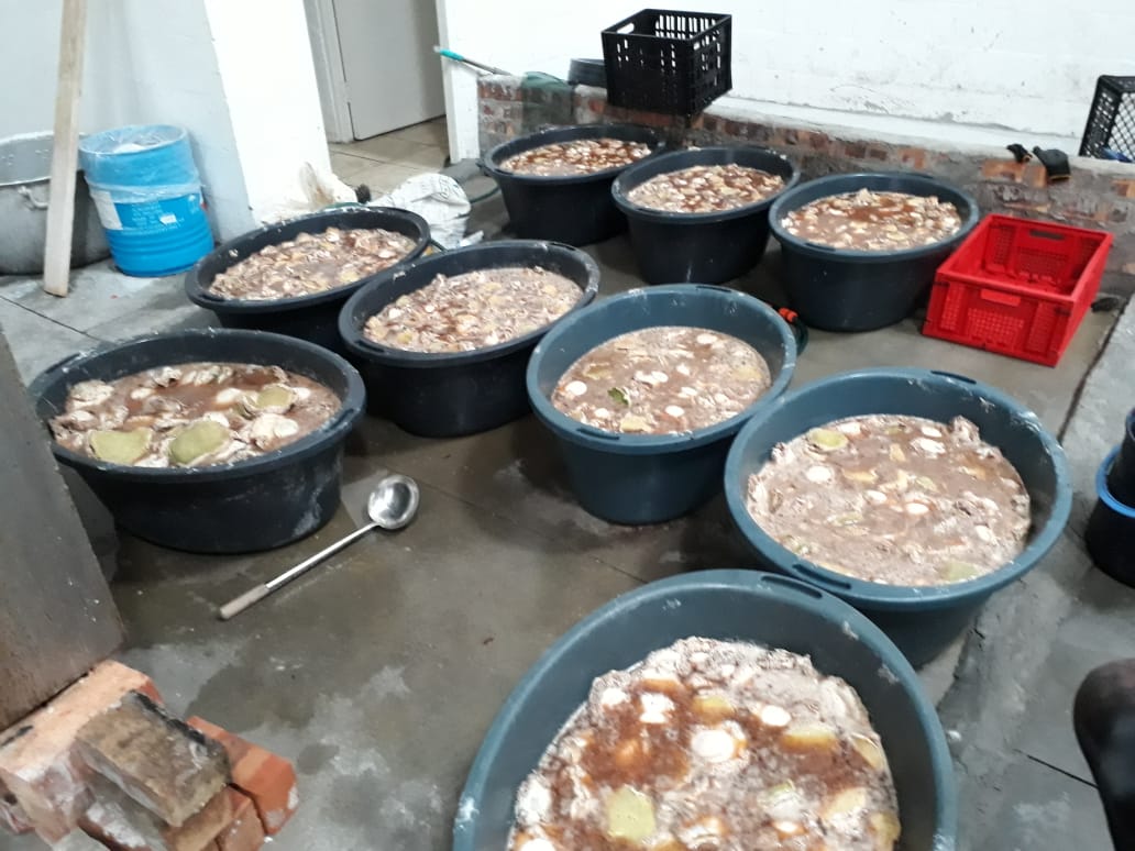 Abalone worth R2.4million seized in Milnerton