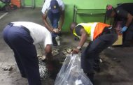 R72k Abalone bust and seafood raid in Durban CBD