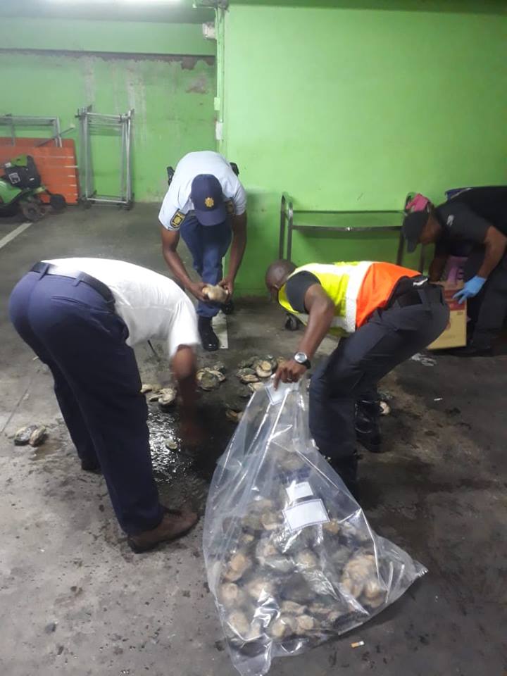 R72k Abalone bust and seafood raid in Durban CBD
