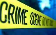 SAPS National Commissioner condemns the killing of a man in Limpopo