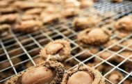 Duo sentenced for operating a clandestine abalone facility worth R3 162 300