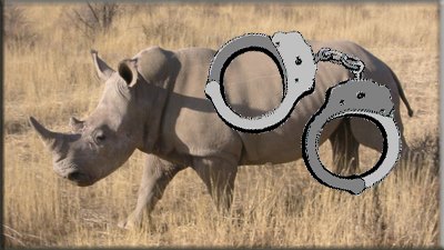 Hawks arrest three for dealing in rhino horns