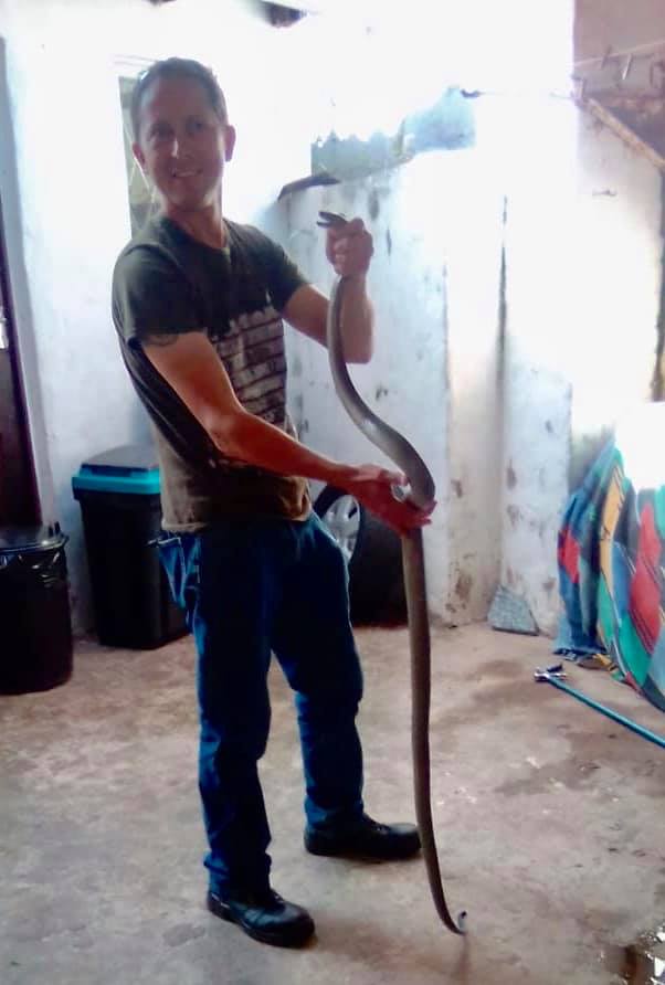 Black Mamba Found In Home in Oaklands, KZN