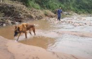 Search and rescue team search for missing victim after KZN floods