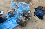 PE K9 unit arrest Abalone poachers